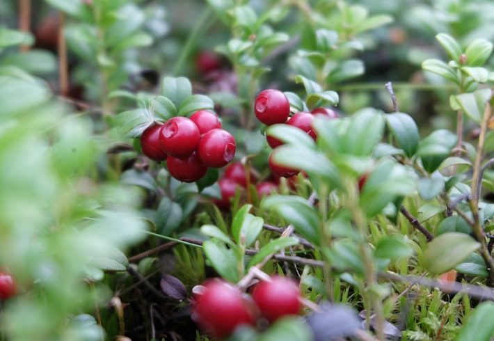 Подпишитесь на канал и поставьте лайк! Вы поможете развитию канала! Заранее спасибо!