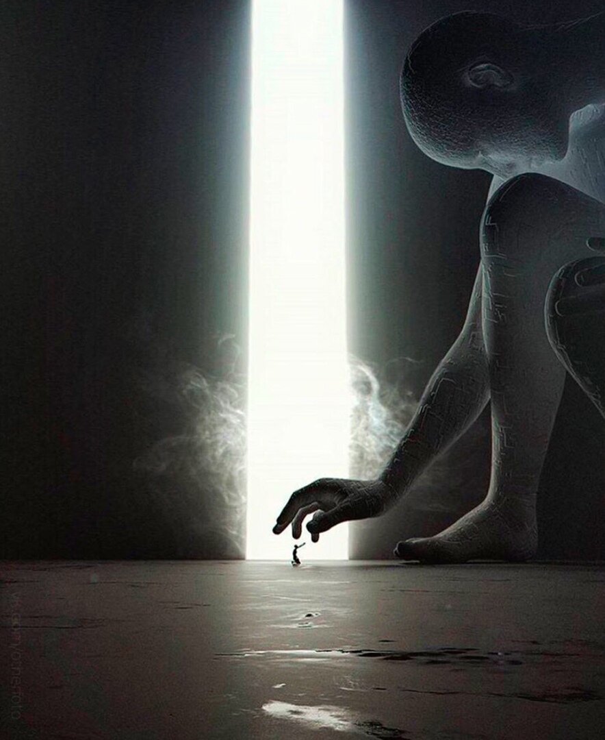 Иллюстрация из соцсетей