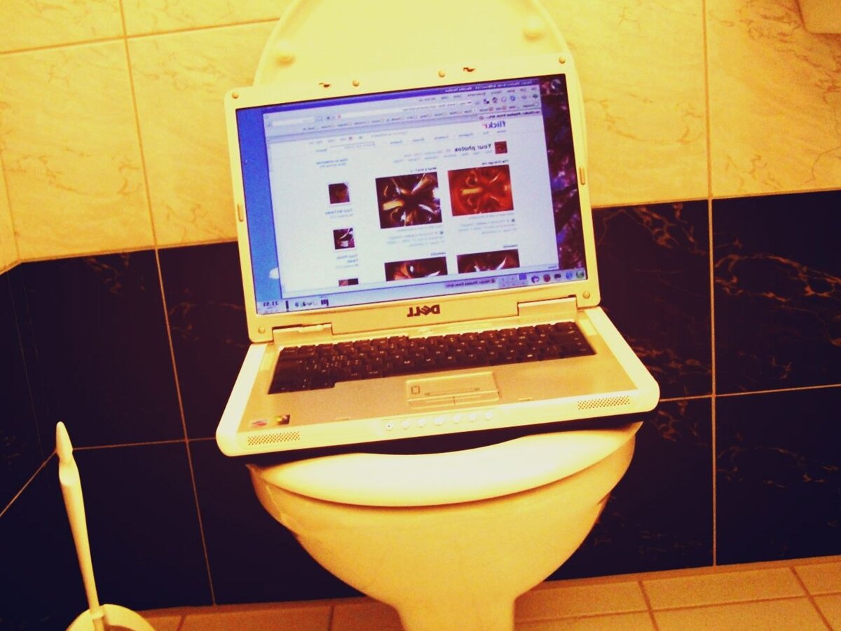 Туалет - один из верных признаков интересного объекта недвижимости