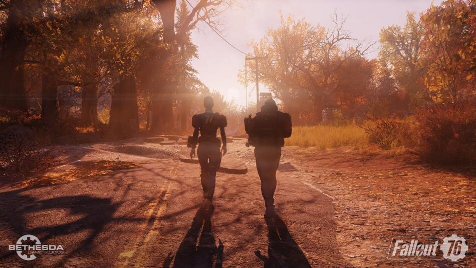 Сила в цифрах Fallout 76