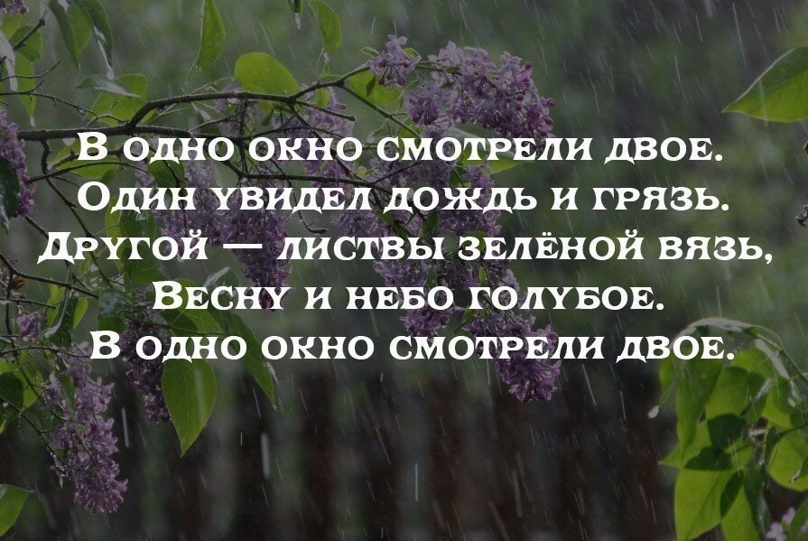 В одно окно смотрели двое один увидел дождь и грязь картинка