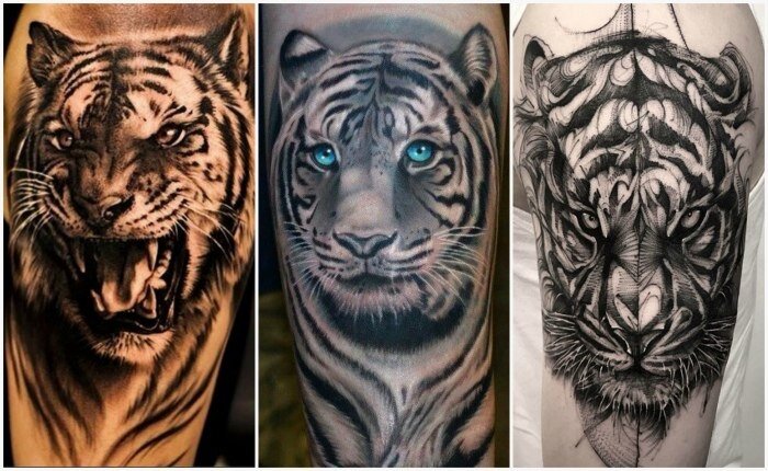 Знаменитости и татуировки с тиграми