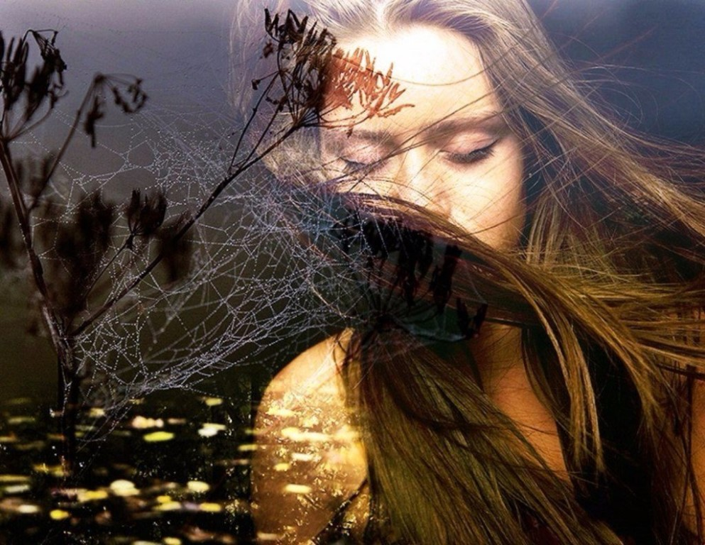 фото из интернета