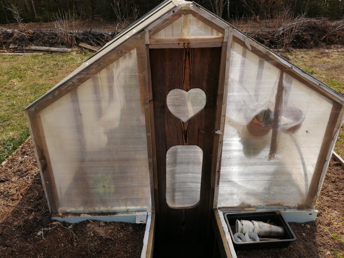 Чудо-теплица, где урожай начинает созревать, когда еще лежит снег. Фото Светы Давыдовой