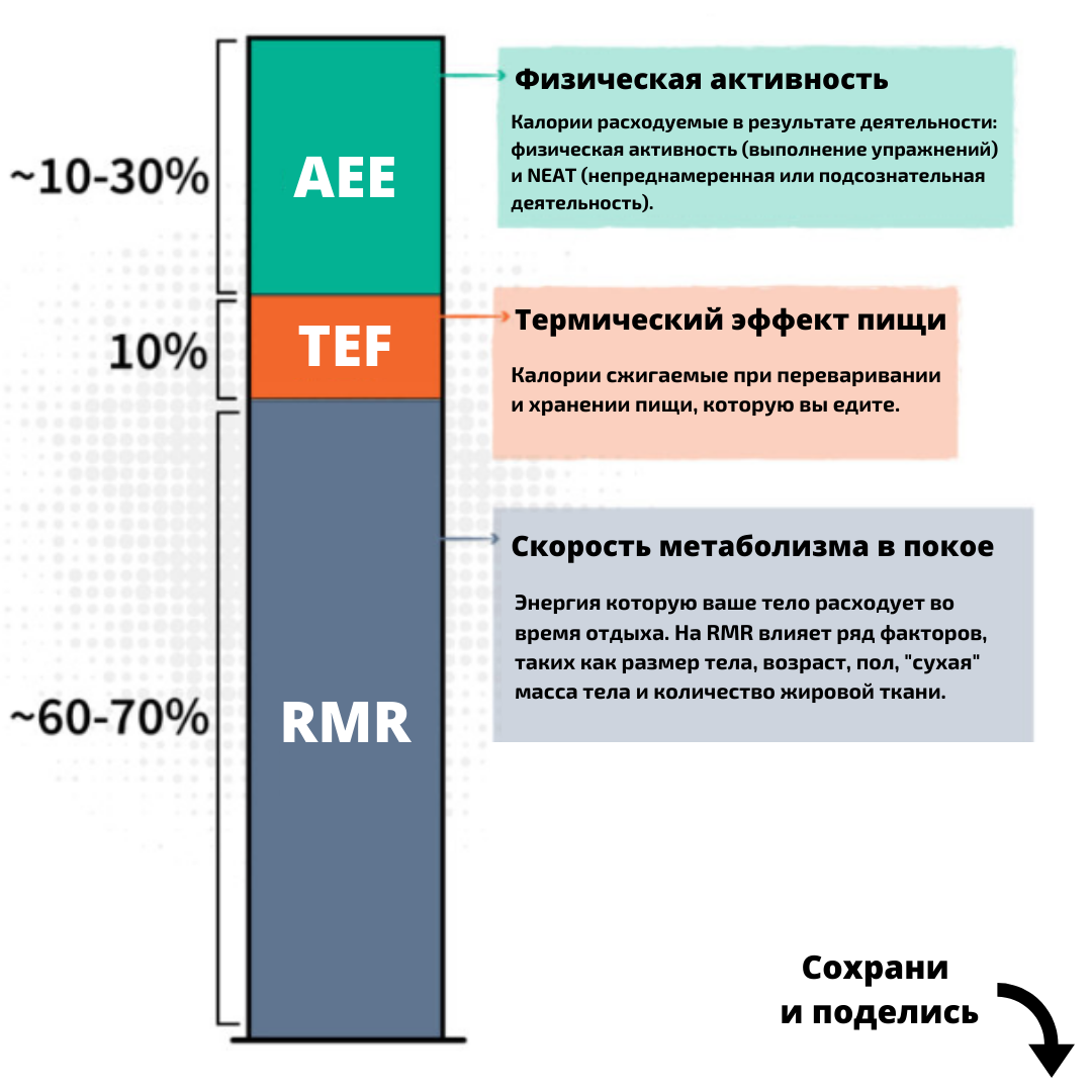 ПРАВДА о замедленном метаболизме ч.1 | Сергей Левданский | Дзен