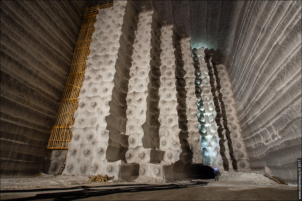 фотография из открытых источников