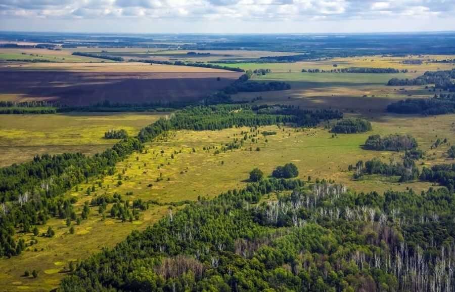 Русская (Восточно-Европейская) равнина или Курское поле (Курукшетра). 