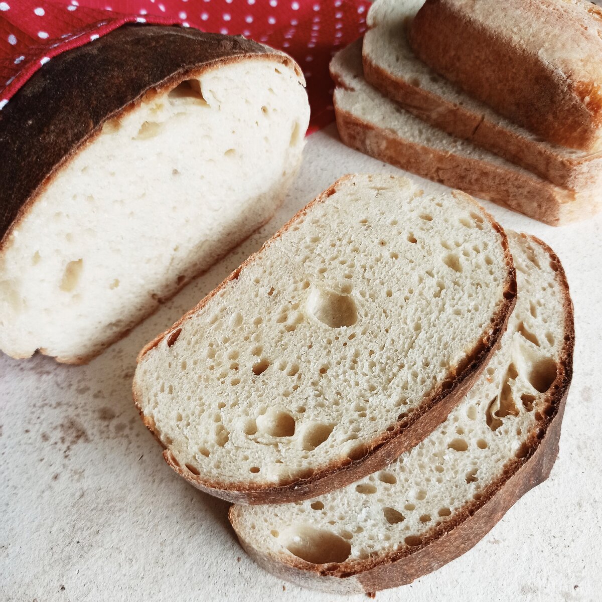 Фотограф Мария Шайнова