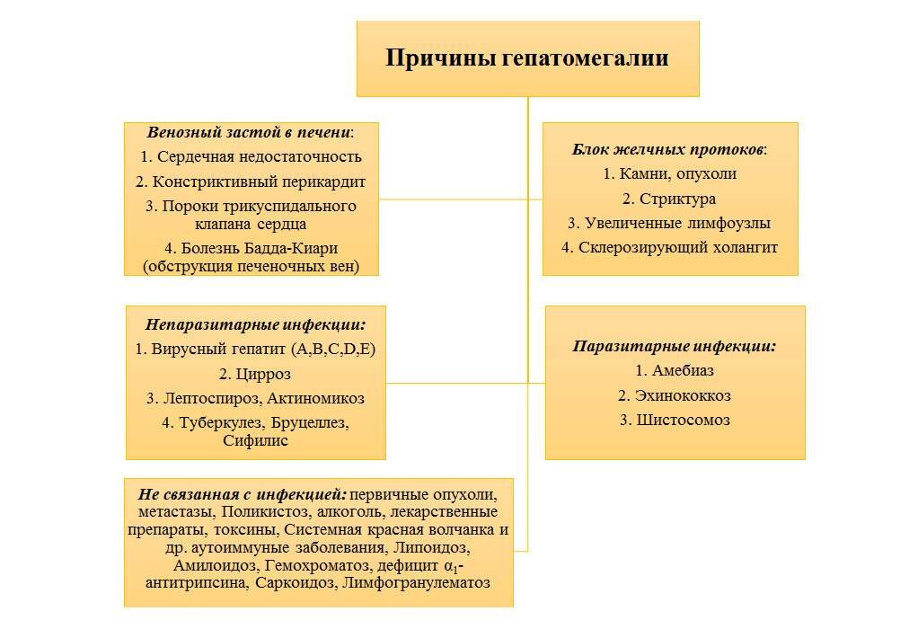 Печень, народные средства очищения печени