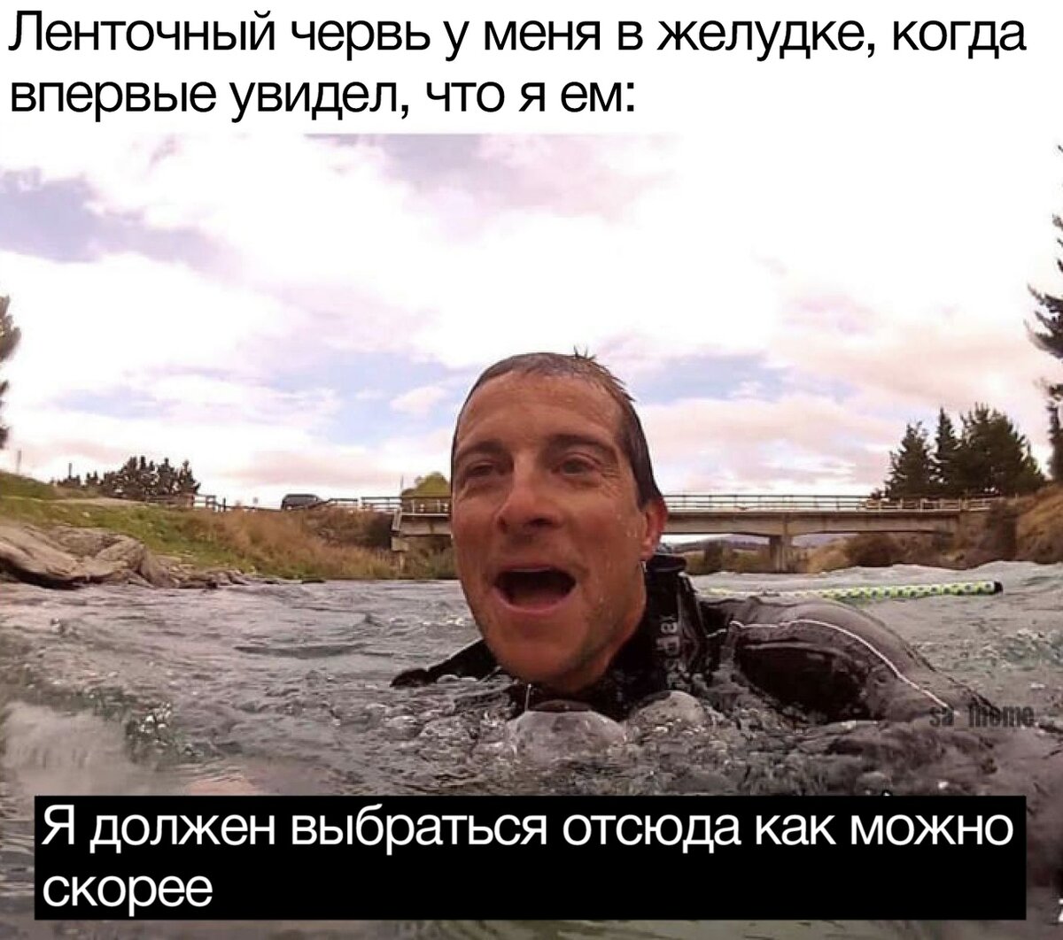 мне их жалко 