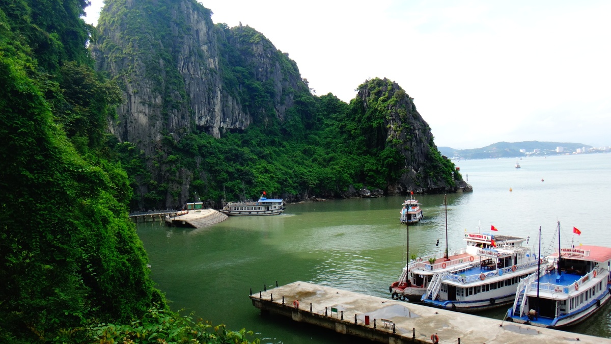 Яхты на одном из островов бухты Халонг (фото автора)