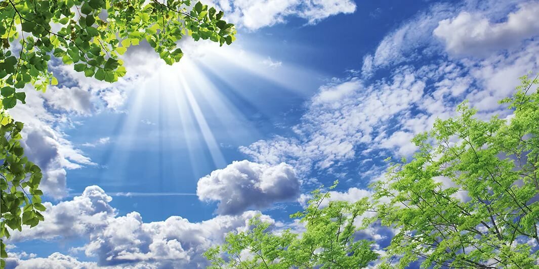 Фото из открытых источников.