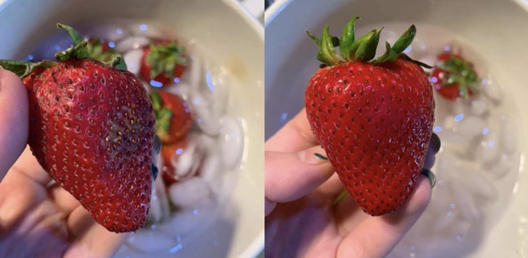 Бриттани Кинг/Facebook