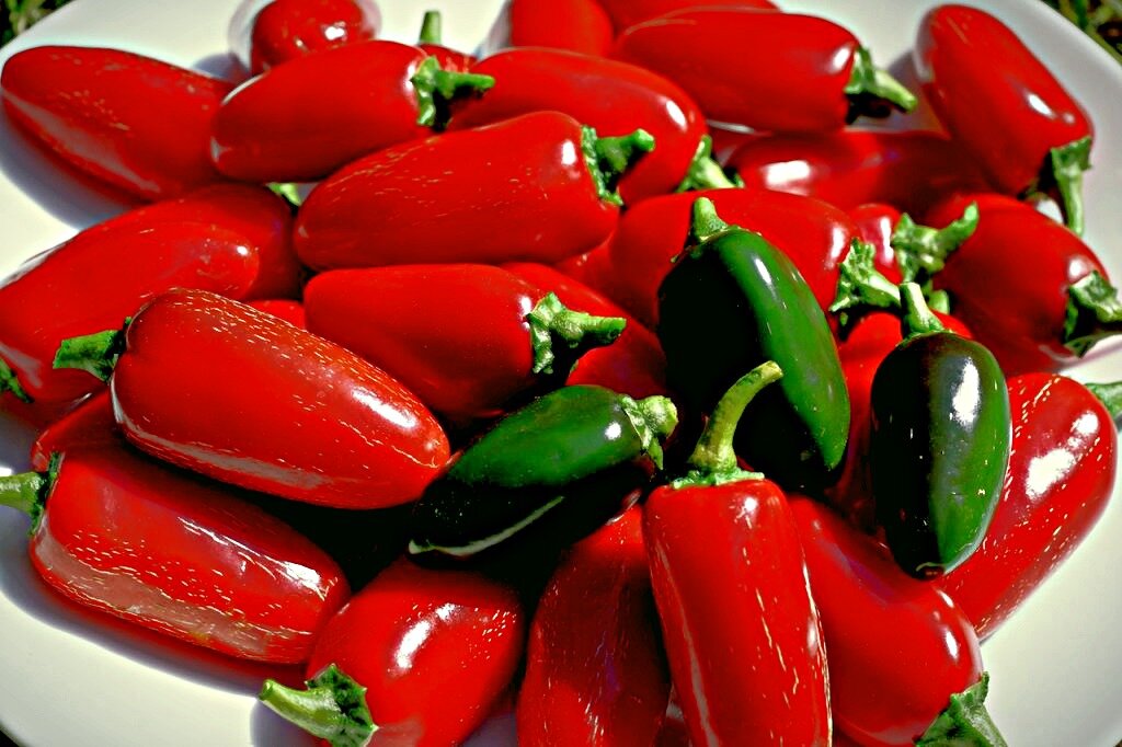 Картинки из Яндекс-картинки.