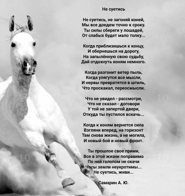 Розовый конь стихотворение. Не суетись. Стихи. Стихи про лошадей. Стихи про лошадей красивые. Стих о лошади душевные.
