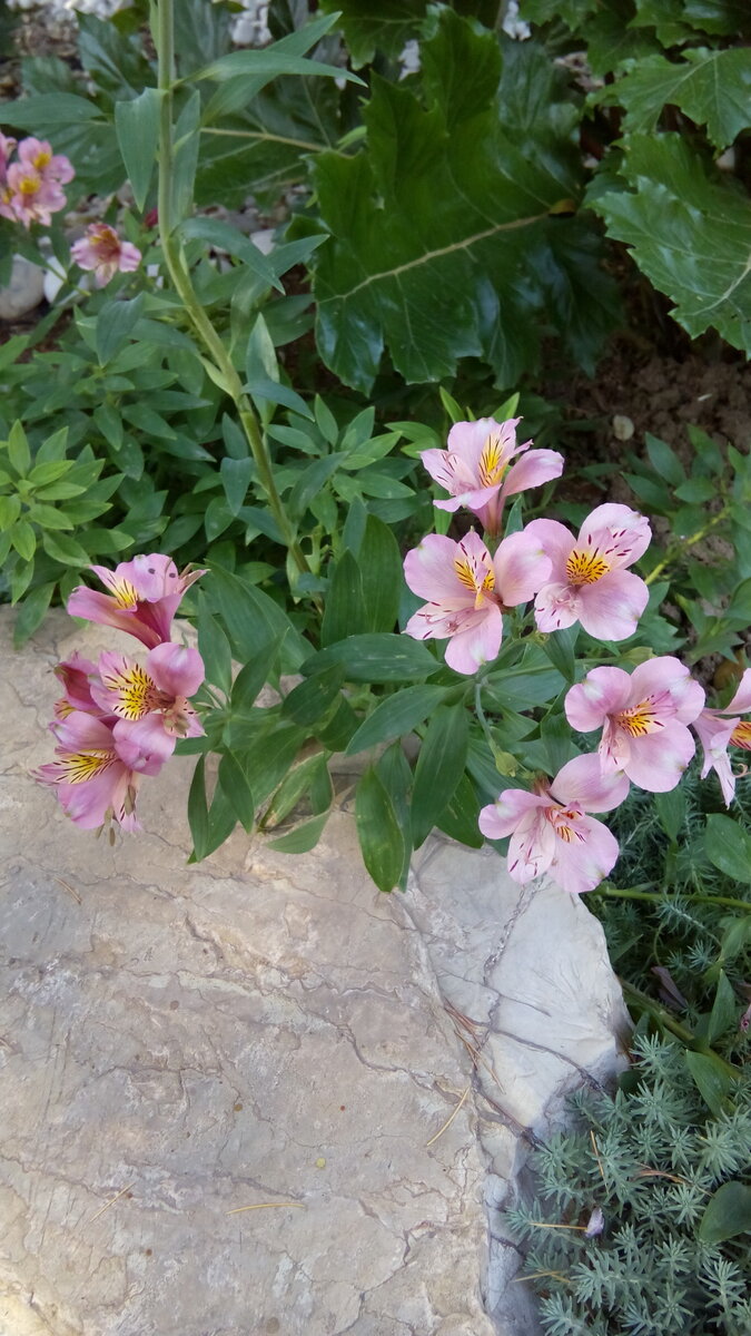 Из личного архива 