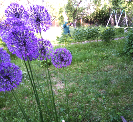 Фото автора. Снимаю, как могу!