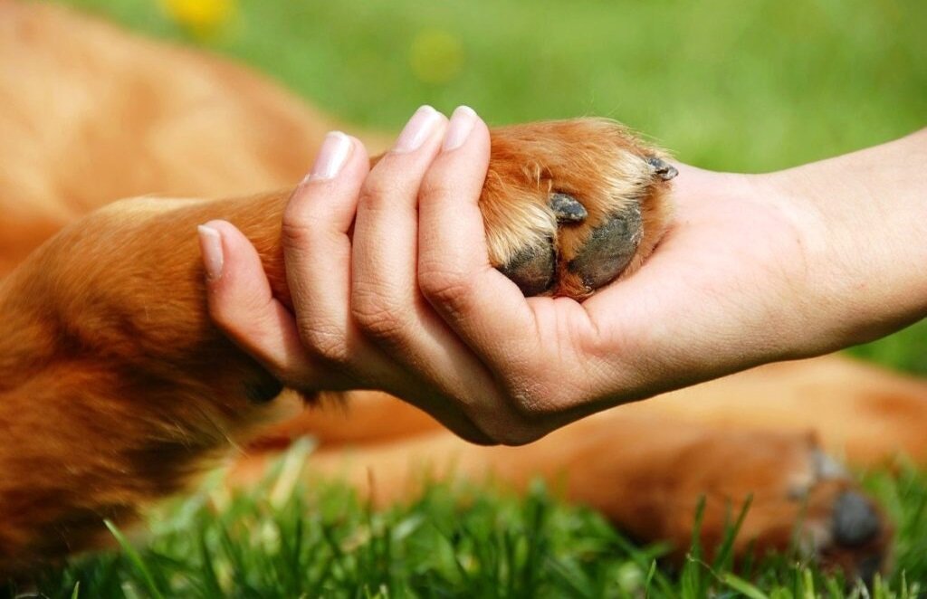 Фото взято из открытых источников