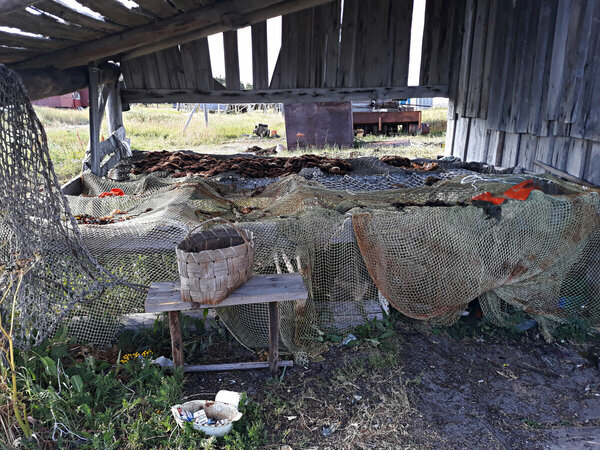 Реболда. Водоросли на каждом шаге.