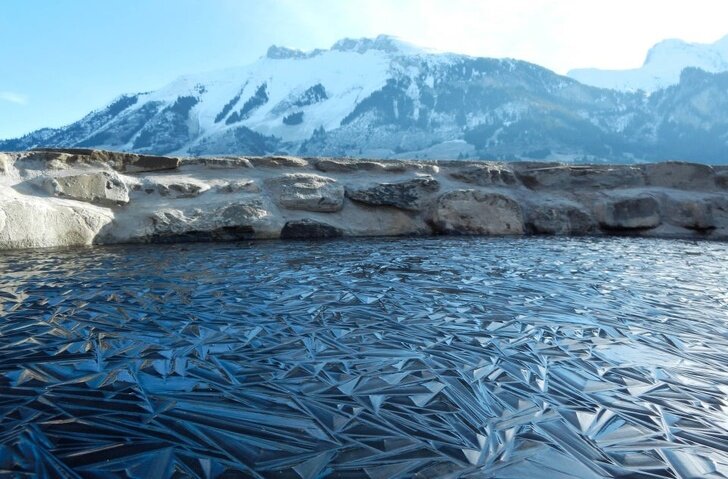 Удивительное творение природы