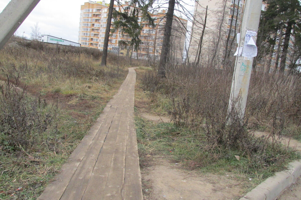 так выглядела тропа совсем недавно 