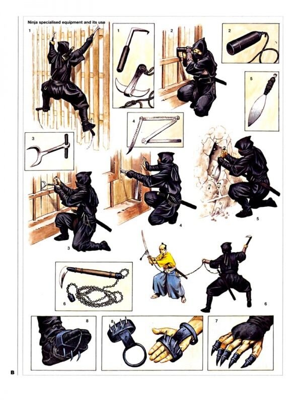 воспитание молодых ниндзя