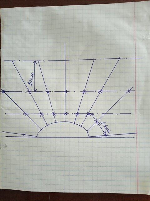 Фото: Романа Образцова. Примерная схема шпалеры, только расстояние не 2-3 см, а 10-20 см между кольями.