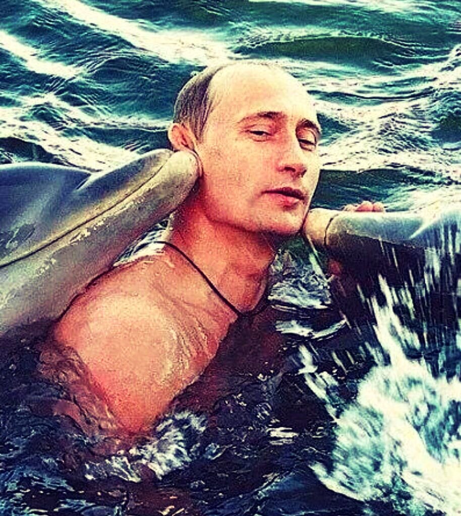 Президент Дельфин