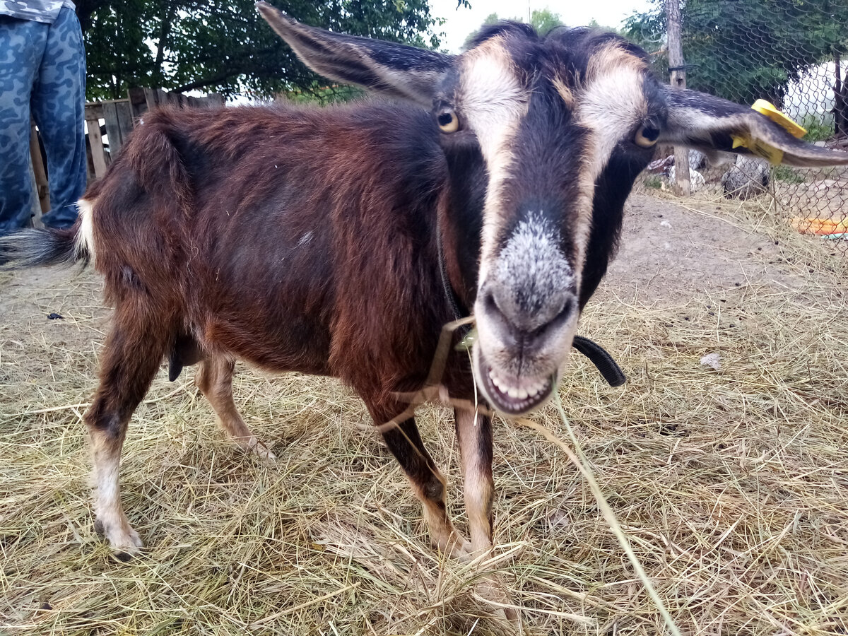 Фото из личного архива.