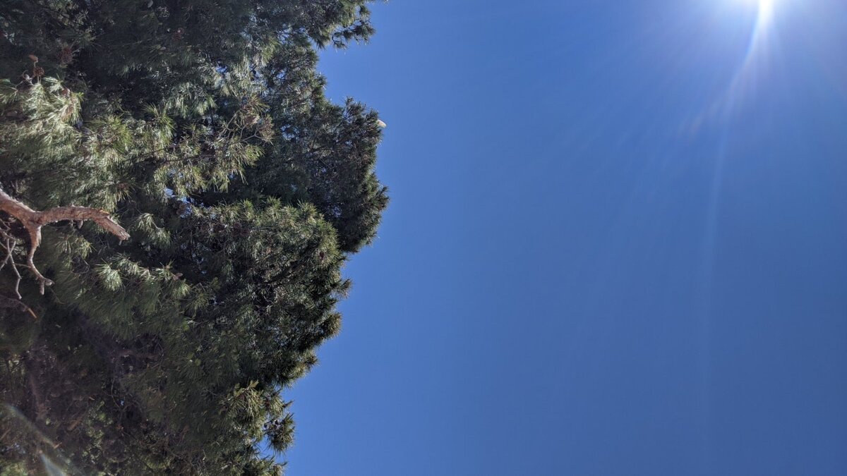 Черногория, небо, зелень