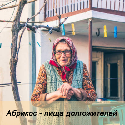 Абрикос - пища долгожителей
