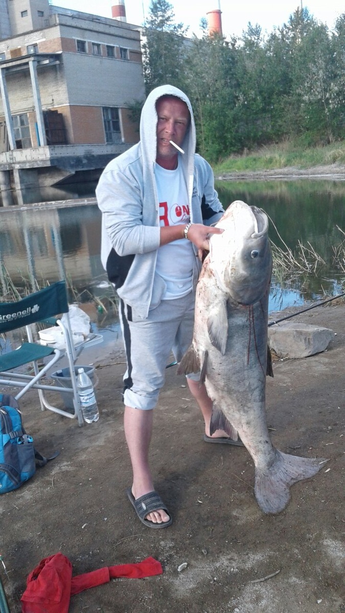 Толстолоб 36 килограммов. Отпущен не был