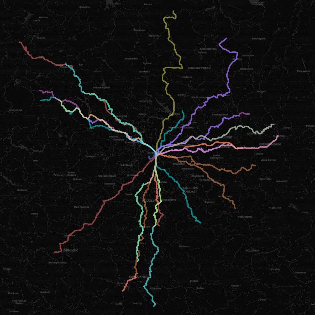 Визуализация треков участников. Фото: Wild Family