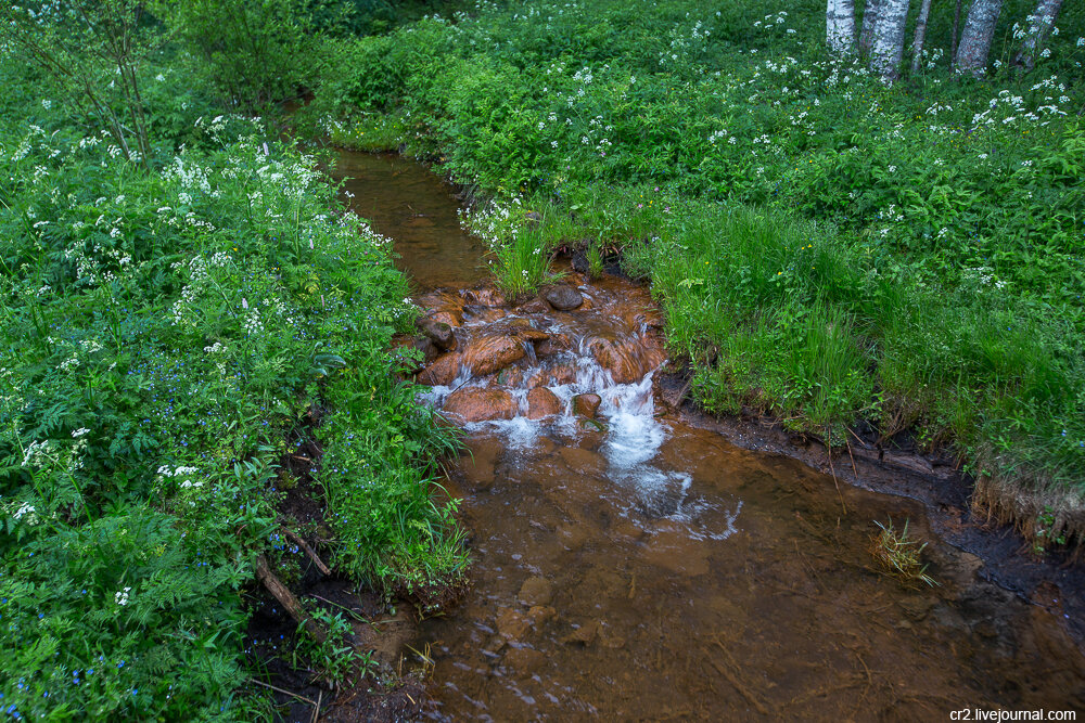 Речушка, вытекающая из источников. Мшенцы, Тверская область