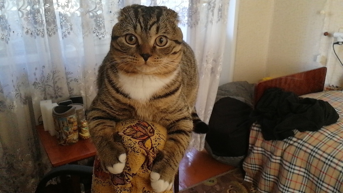 мое лицо, когда обещает и не делает