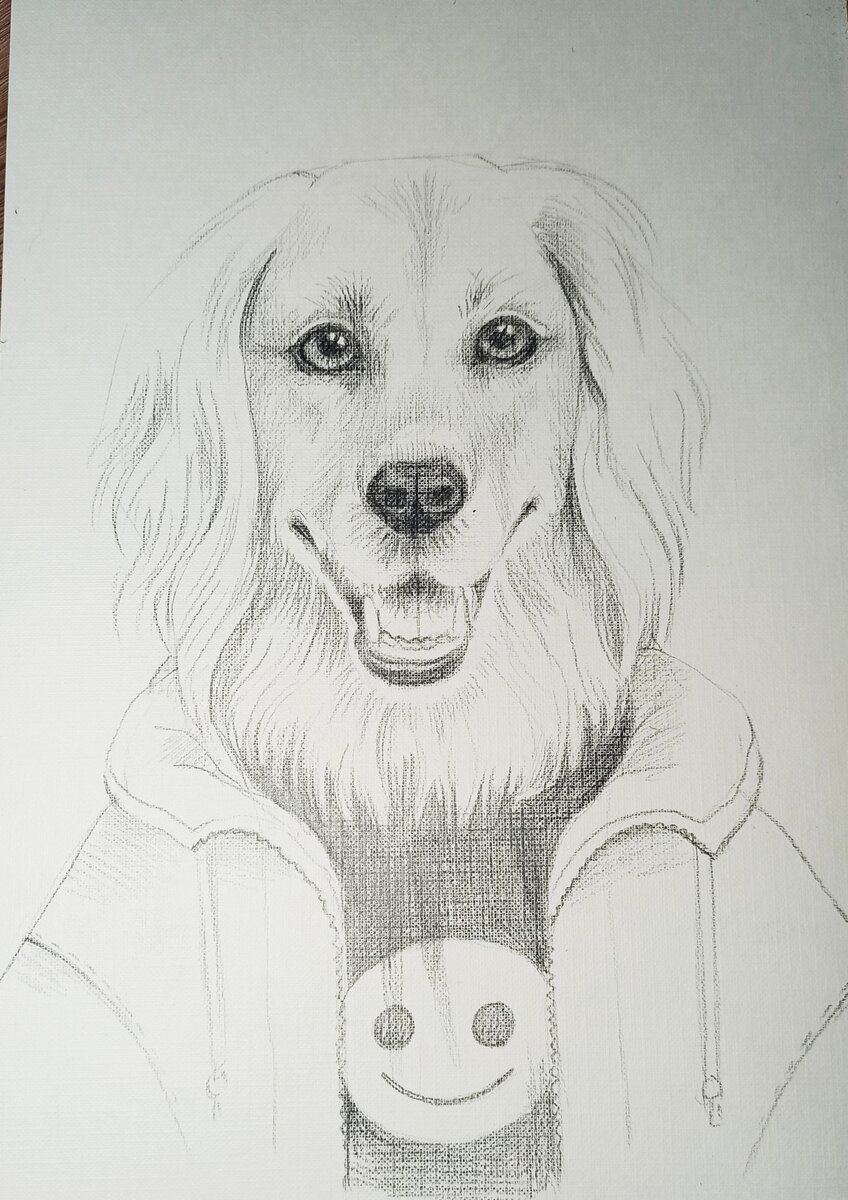 Как нарисовать портрет любимой собаки. Поэтапный мастер-класс для любителей  рисовать. | Рисуем вместе | Дзен
