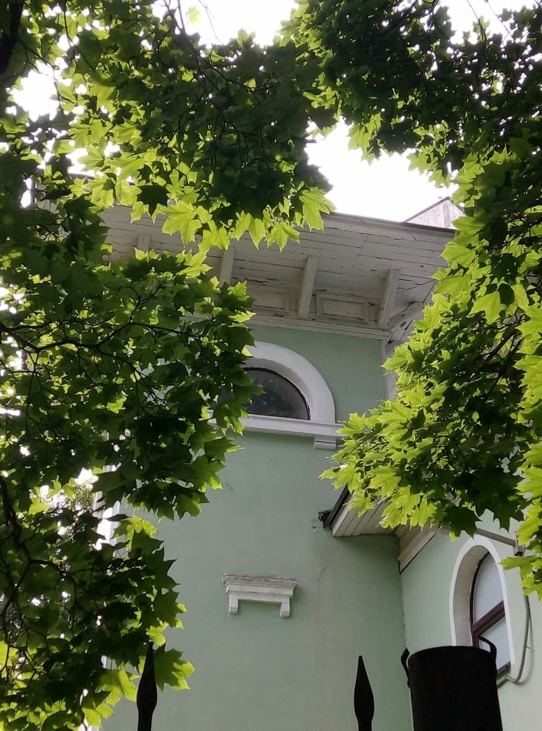 фото автора