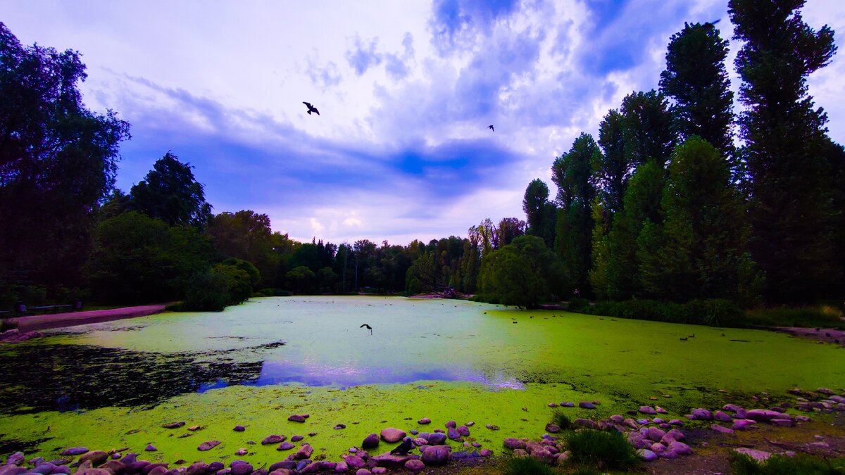 Фото Лиана Романова