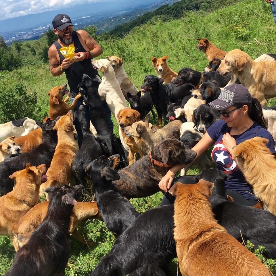 https://account.travel/place/territorio-de-zaguates-land-of-strays.html
