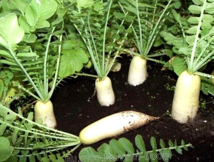 Взято из открытых источников