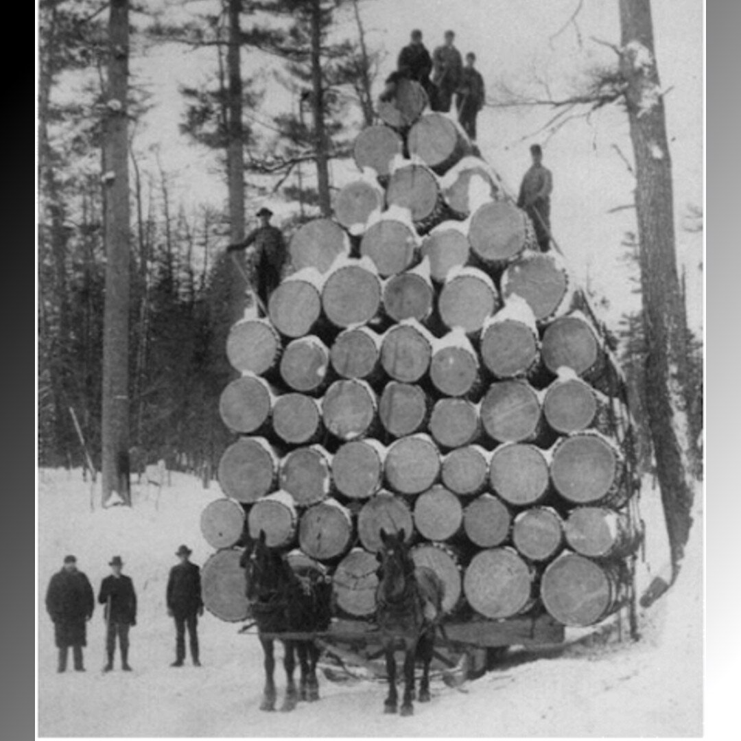 Не удивлюсь, если самые несчастные на этом фото все таки не лошади... :о)) (фото: открытые источники)