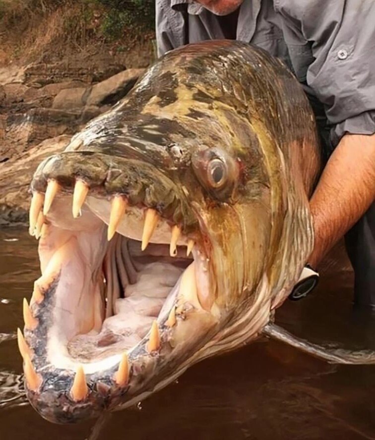 Источник: thesun.co.uk