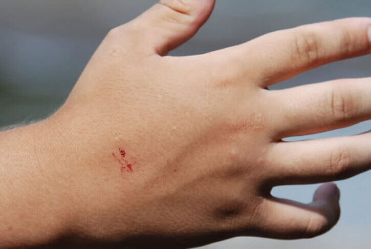 Фото взято из интернета 