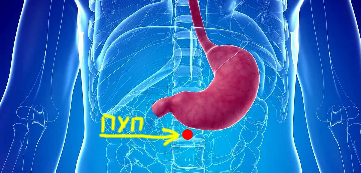 Нормальное положение желудка