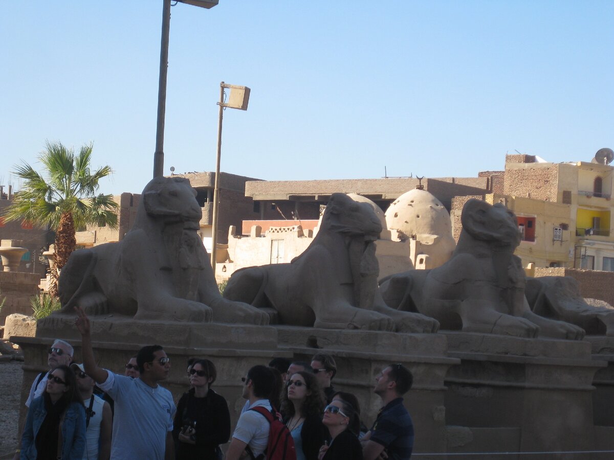 Баран - священное животное Амон-Ра.