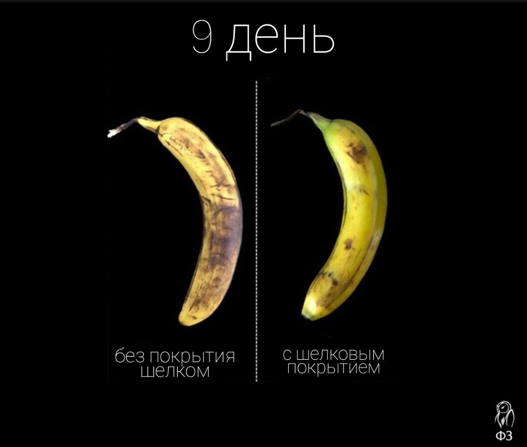 Результаты исследований