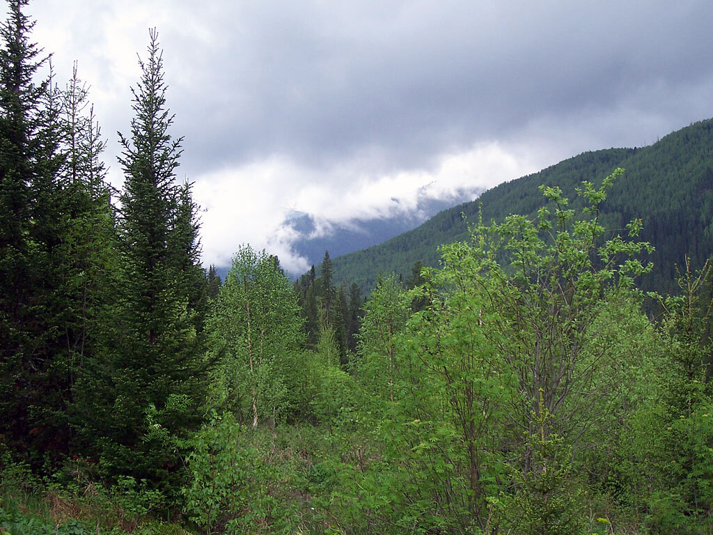 Фото С.Ирлица