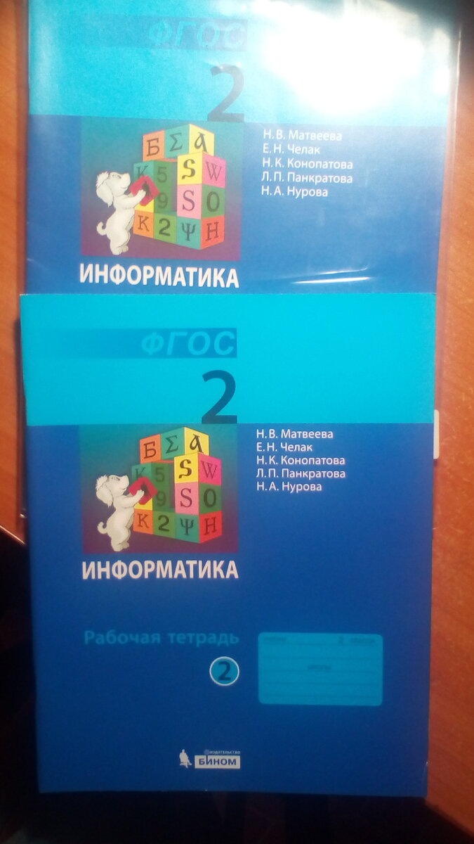 Информатику учим по вот таким тетрадям (2 части)