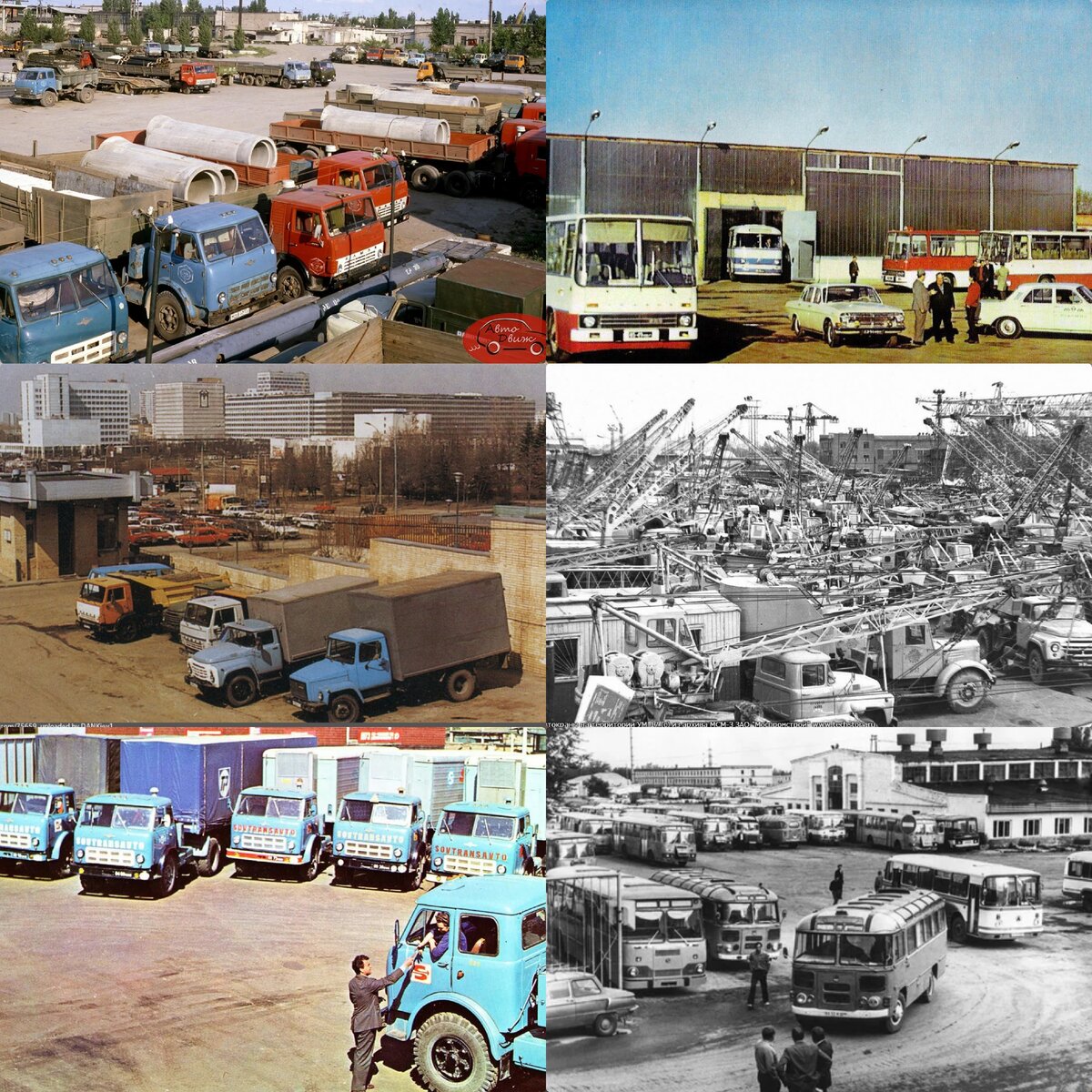 Коллаж для примера, фото из свободных источников.