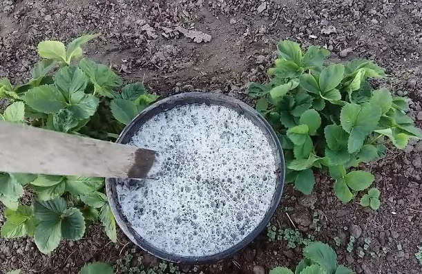 В публикации использованы фото из свободных источников.